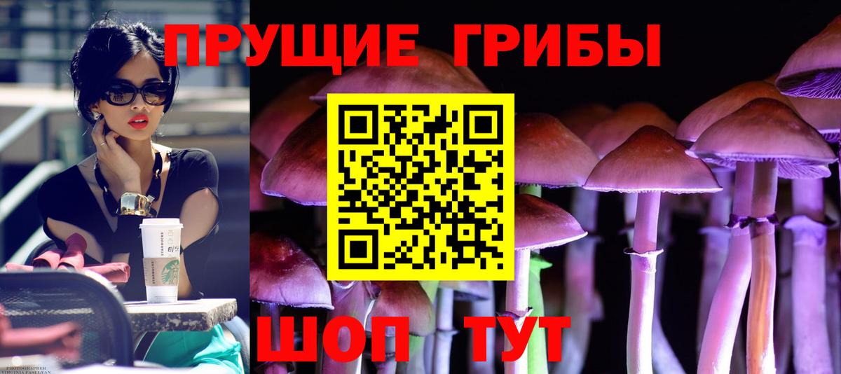 Псилоцибиновые грибы Psilocybe  Вход с VPN  Кимовск  Галлюциногенные грибы прущие грибы 