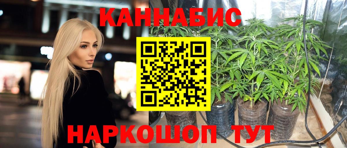 Бошки Шишки ГИДРОПОН  Бошки Шишки планчик  Вход с VPN  Кимовск 